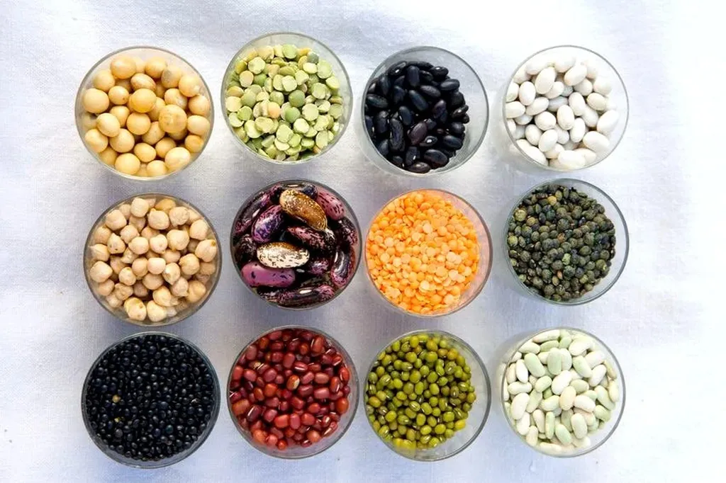 Revolutionizing Pulse Crops with High-Tech Solutions for Nutritional Gains